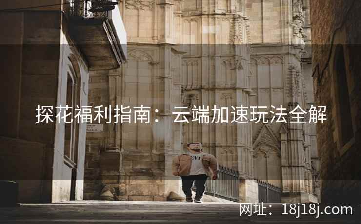 探花福利指南：云端加速玩法全解