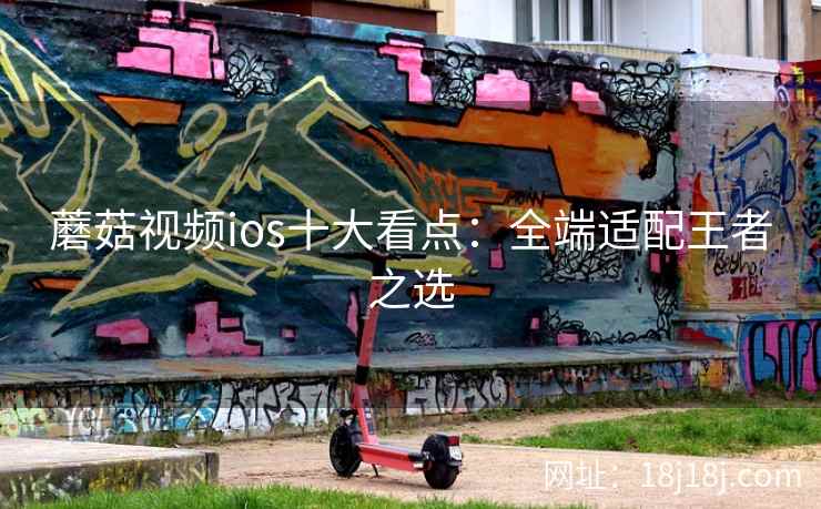 蘑菇视频ios十大看点：全端适配王者之选