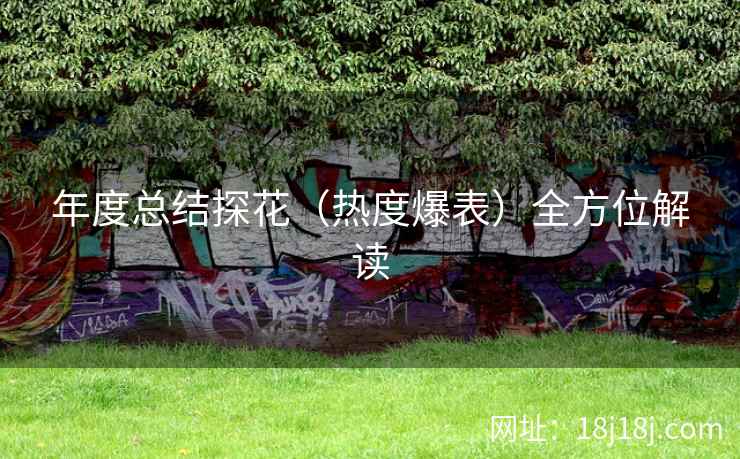 年度总结探花(热度爆表)全方位解读 年度总结探花(热度爆表)全方位解读