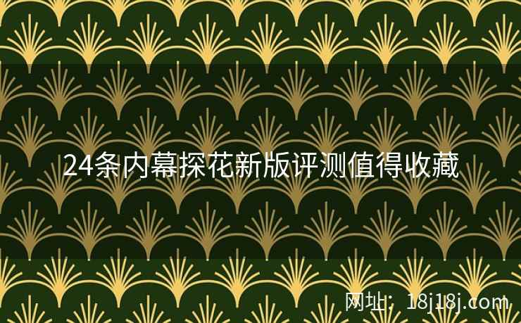 24条内幕探花新版评测值得收藏