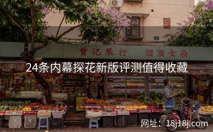 24条内幕探花新版评测值得收藏