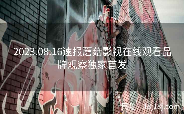 2023.08.16速报蘑菇影视在线观看品牌观察独家首发 2023.08.16速报蘑菇影视在线观看品牌观察独家首发