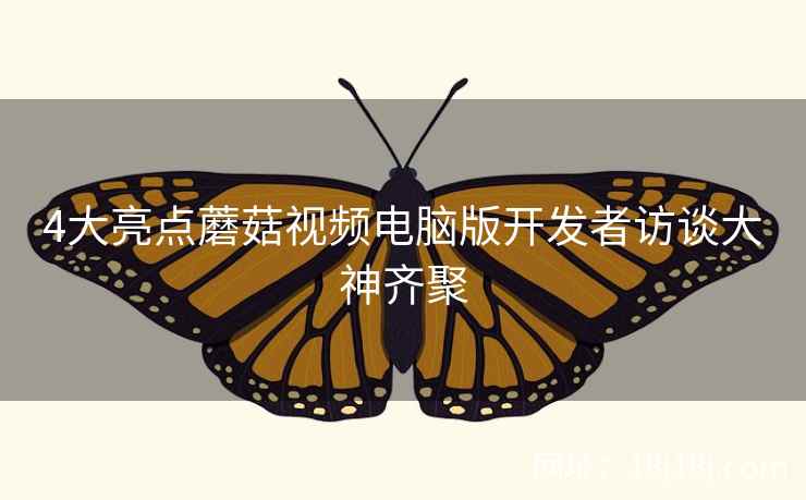 4大亮点蘑菇视频电脑版开发者访谈大神齐聚