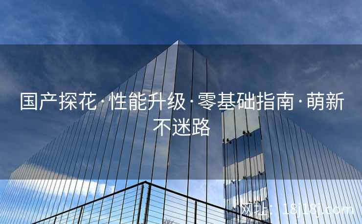 国产探花·性能升级·零基础指南·萌新不迷路