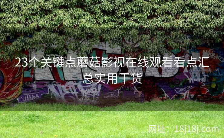 23个关键点蘑菇影视在线观看看点汇总实用干货