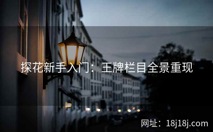 探花新手入门：王牌栏目全景重现