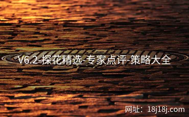 V6.2-探花精选-专家点评-策略大全 V6.2-探花精选-专家点评-策略大全