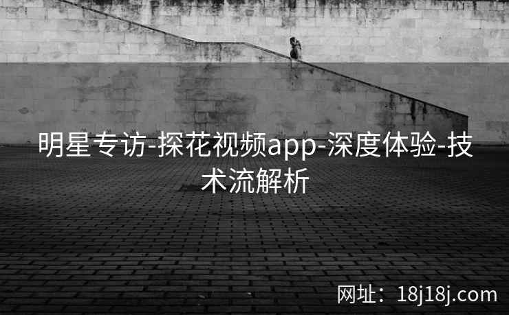 明星专访-探花视频app-深度体验-技术流解析