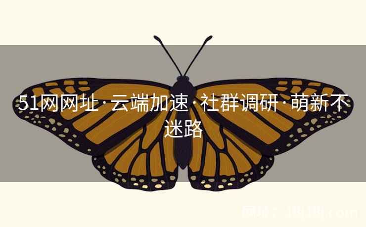 51网网址·云端加速·社群调研·萌新不迷路