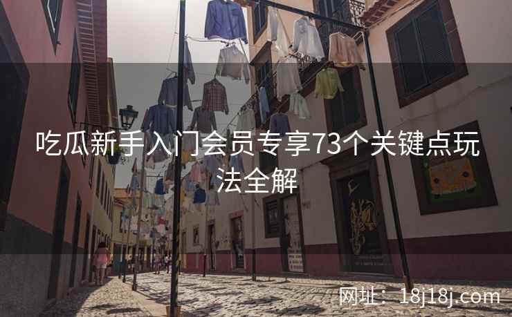 吃瓜新手入门会员专享73个关键点玩法全解 吃瓜新手入门会员专享73个关键点玩法全解